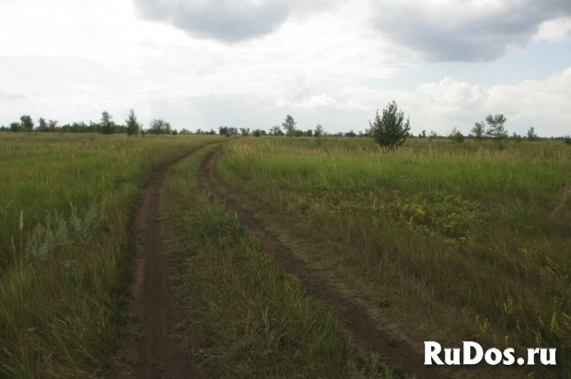 Продам участок 4500 сот. изображение 8