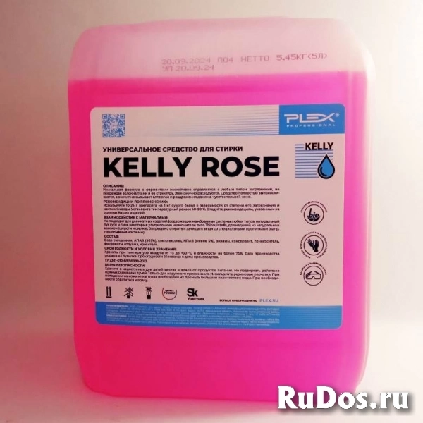 Средство для стирки Kelly Rose 5 л. (мощное моющее средство) фото