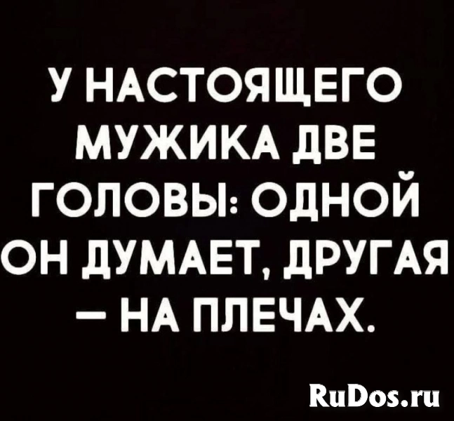 МОГУ ПРИЛАСКАТЬ И ПЛЁТКОЙ ОТХЛЕСТАТЬ  8-981-860-44-84 изображение 3