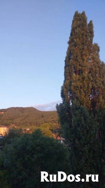 Продам 3 комнатную квартиру 200 м2 изображение 10