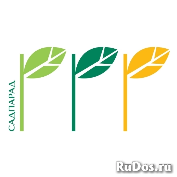 Ландшафтный архитектор фото