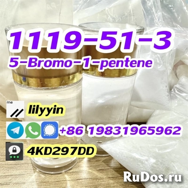 Supply 1119-51-3 5-Bromo-1-pentene изображение 5