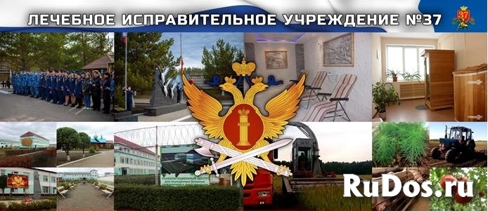 Младший инспектор отдела безопасности/Отдела охраны фото
