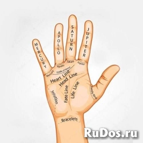 Palmistry Reading know what's hidden in your palms 99.9% accuracy фото