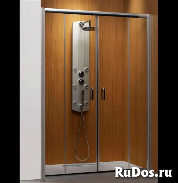 Душевая дверь в нишу Radaway Premium Plus DWD 160 33363-01-08N фото