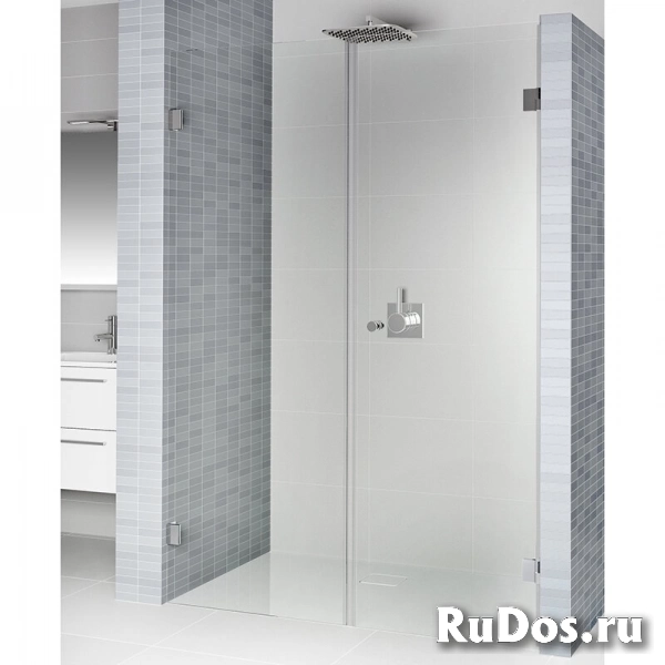 Душевая дверь RIHO SCANDIC MISTRAL M102-120 L GX0722001 фото