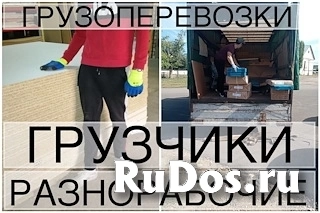 Грузчики, разнорабочие, подсобные рабочие изображение 6