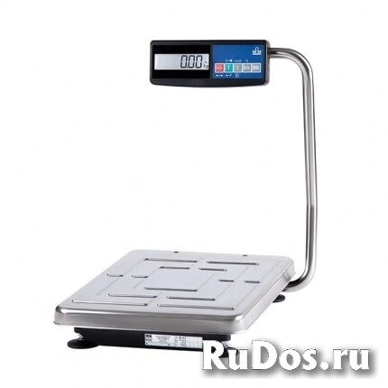 Весы товарные масса ТВ-S-200.2-A2 с АКБ фото