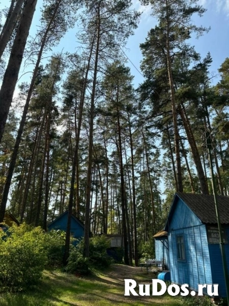 Продам коммерческую недвижимость 527.45 м2 фотка