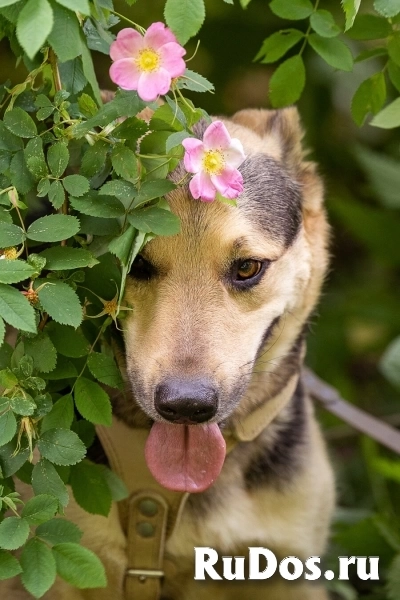 Барри ищет своего человека! изображение 5