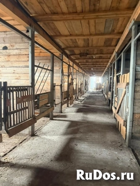 Ферма / Конюшня / Эко-хозяйство изображение 11