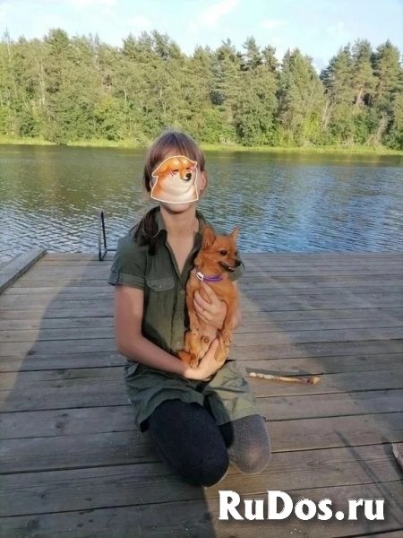 Продам коттедж 100 м2 изображение 8