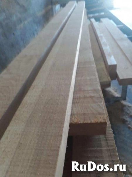 Акация, карагач круглый лес, пиломатериалы оптом. изображение 6