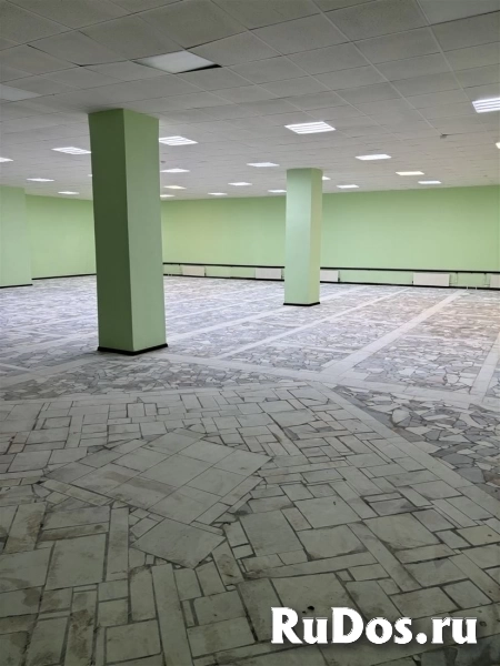 Сдам коммерческую недвижимость 375 м2 изображение 8
