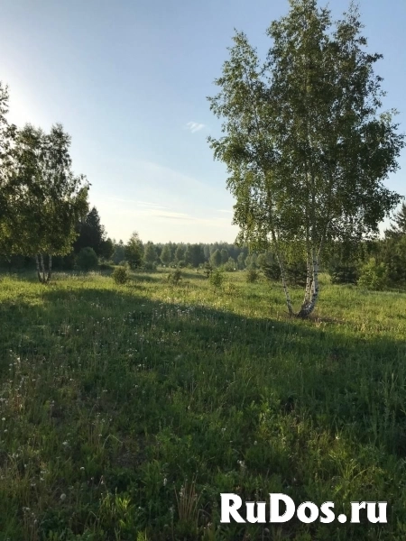 Участок 36 га (СНТ, ДНП) изображение 7