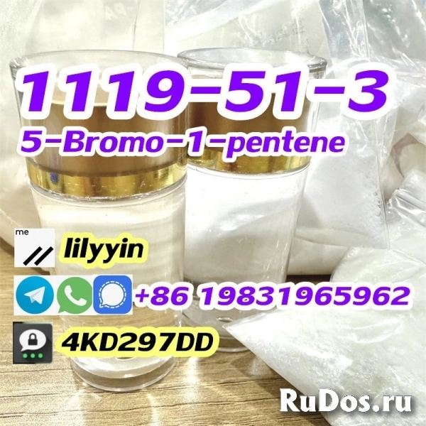 Supply 1119-51-3 5-Bromo-1-pentene изображение 4