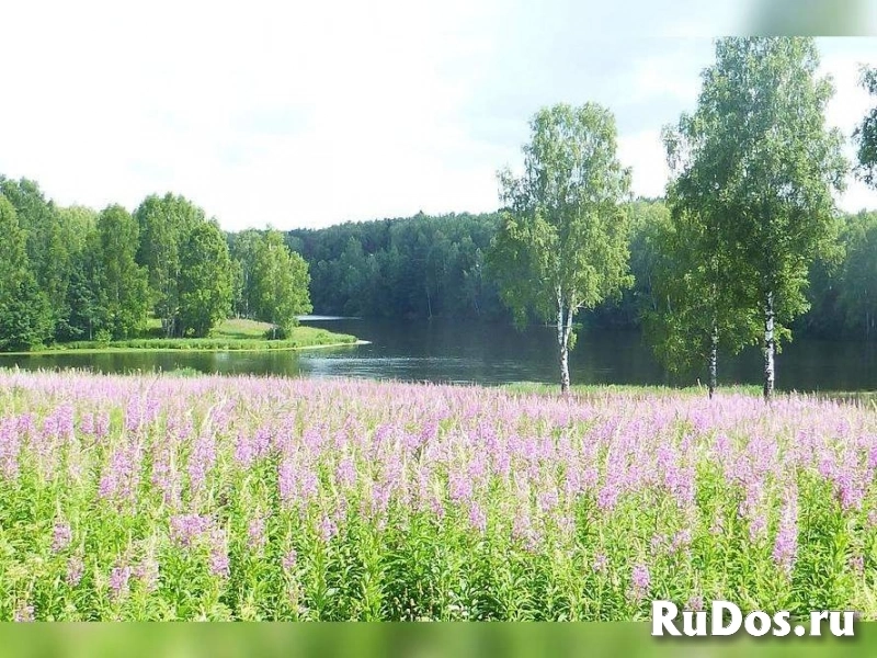 Продам участок 2400 сот. изображение 5