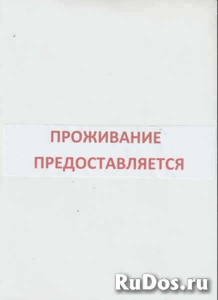 Сантехник-универсал фото