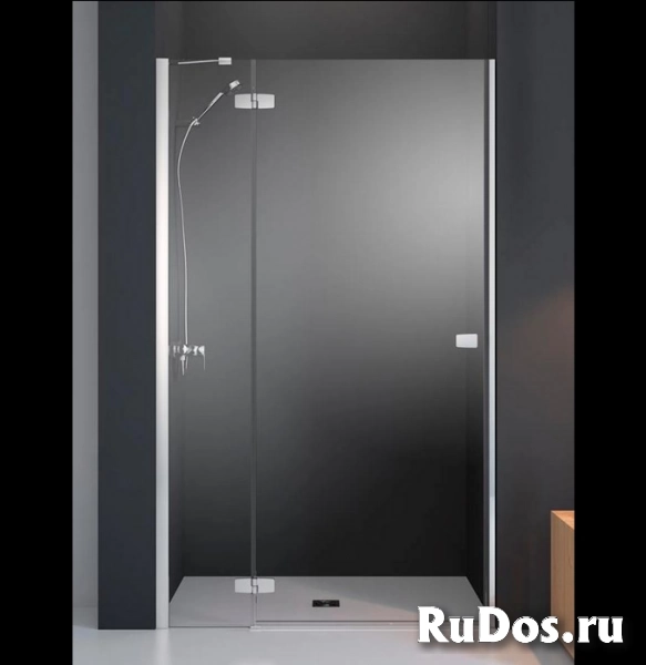 Душевая дверь в нишу Radaway Fuenta DWJ 120 384016-01-01L фото