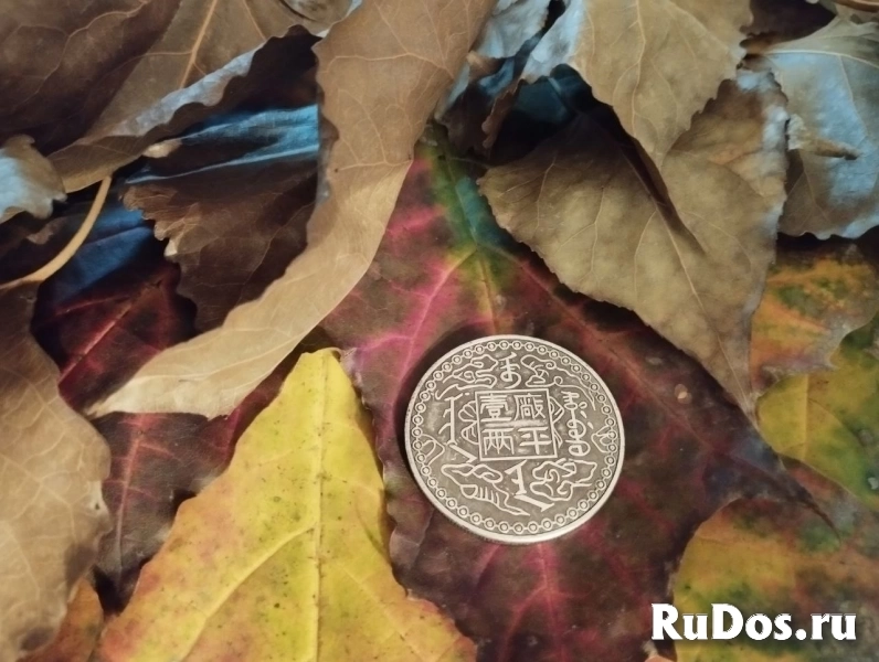 Продам сувенирную монету - талисман изображение 6