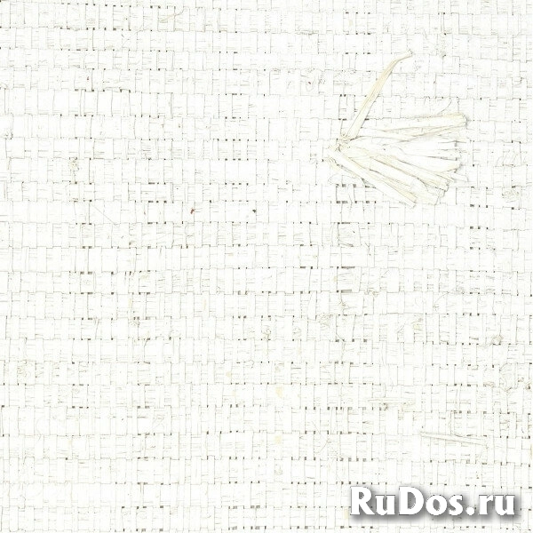 Обои Raw Raffia RM-975-01 фото