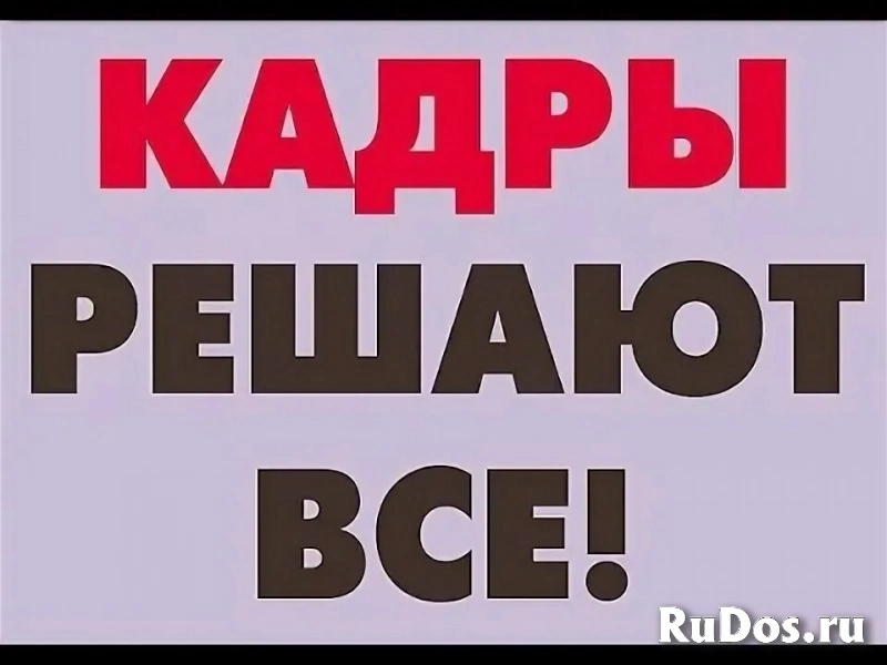 Специалист по подбору персонала фото