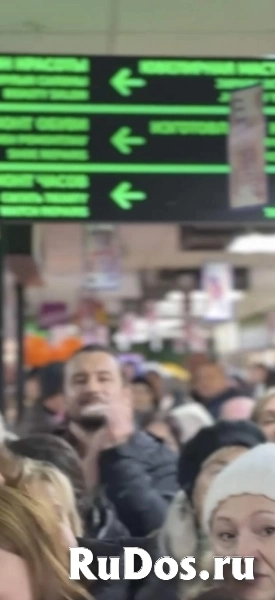 Сдам коммерческую недвижимость 38 м2 изображение 10