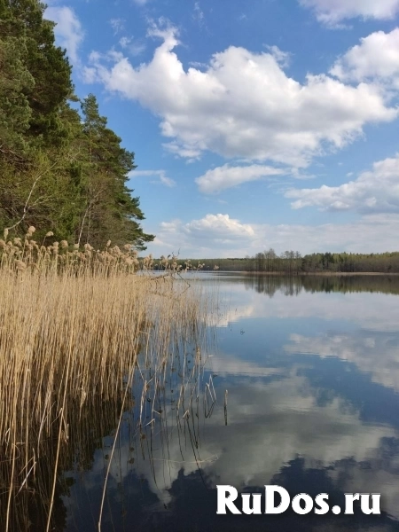 Лучший отдых и лечение в  Беларуси изображение 3