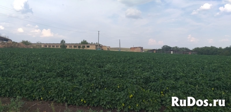 Продается  производственная база объявление Продается  производственная база фотка