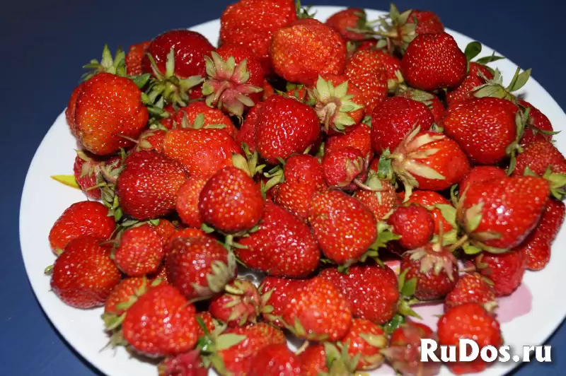 Продам участок изображение 7
