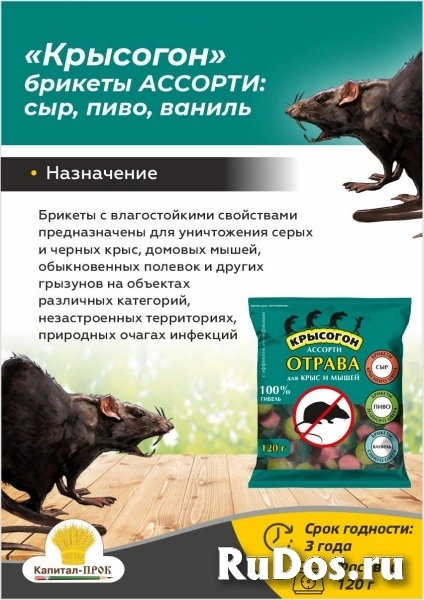 Крысогон ассорти 120г отрава от крыс и мышей. фото