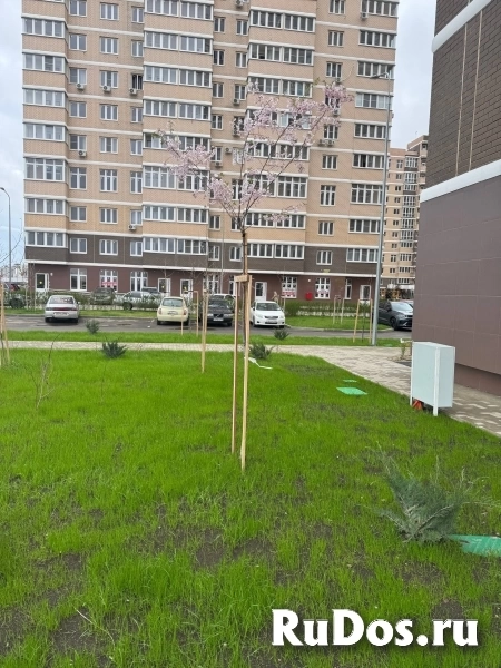 Краснодар изображение 10