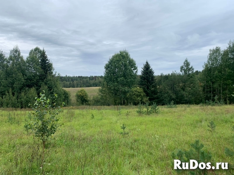 Продаю землю 1,96 га под ИЖС рядом с г. Выборг изображение 3