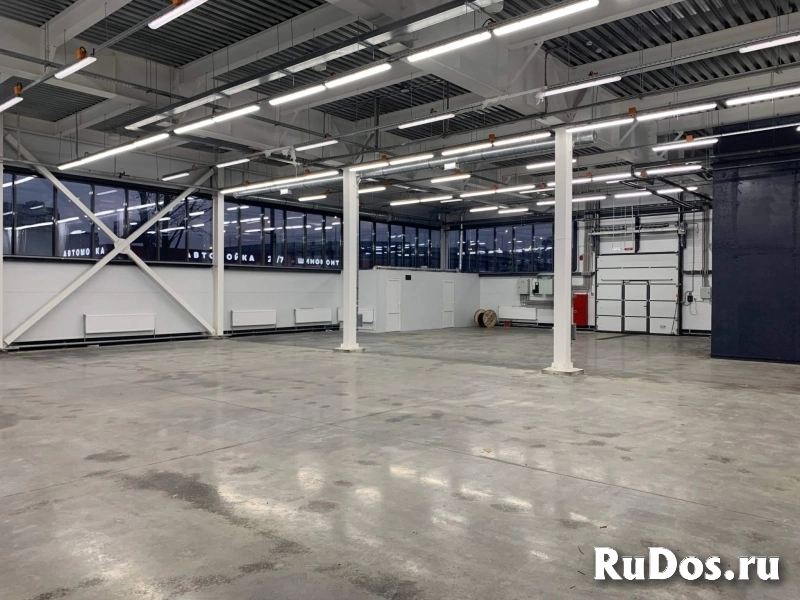 Сдам коммерческую недвижимость 430 м2 изображение 7