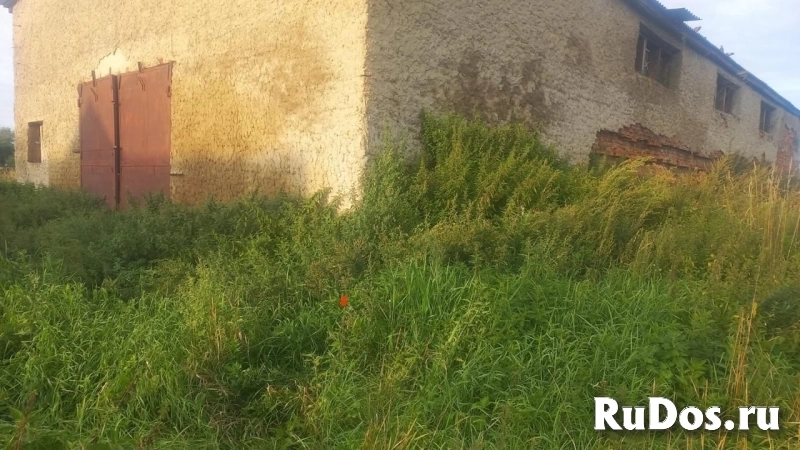 Сдам коммерческую недвижимость 342 м2 изображение 5