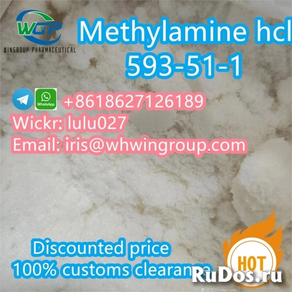 Hot Selling Methylamine hcl CAS 593-51-1 Methylamine Hydrochlorid фото