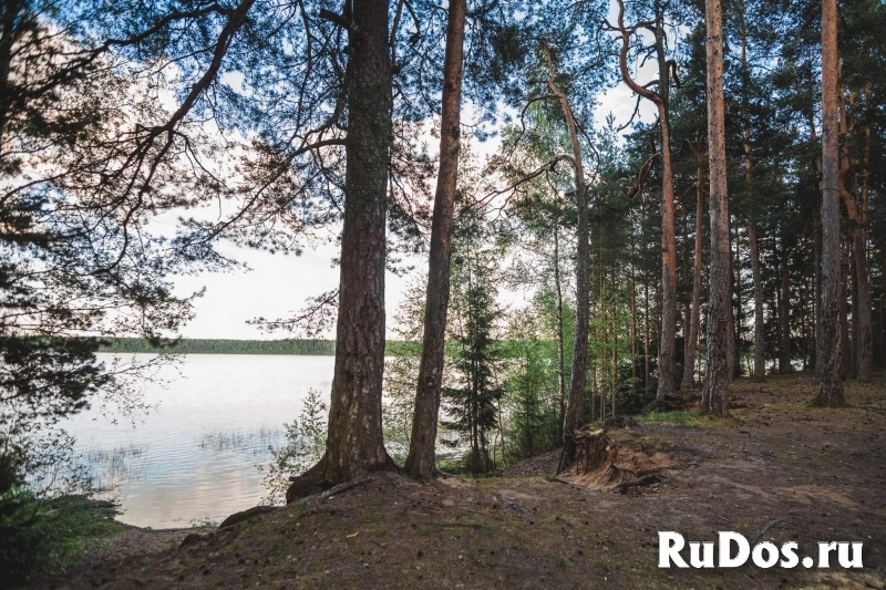 Продам участок 12 сот. картинка 6 Продам участок 12 сот. изображение 6