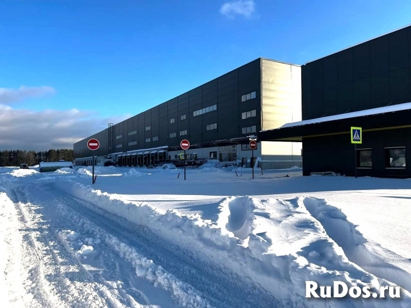 Сдам коммерческую недвижимость 250 м2 фотка