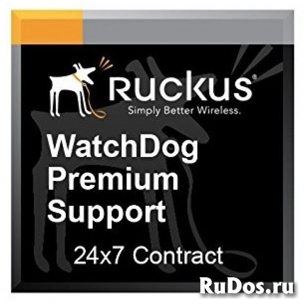 Программное обеспечение, лицензии, сервисные контракты Ruckus 807-R510-3000 фото