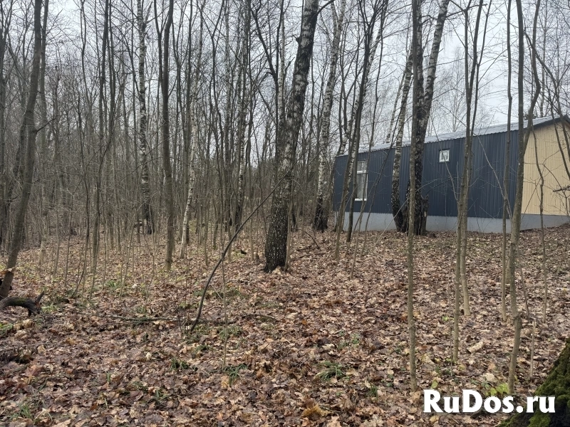 Прилесной участок с потрясающей природой изображение 5