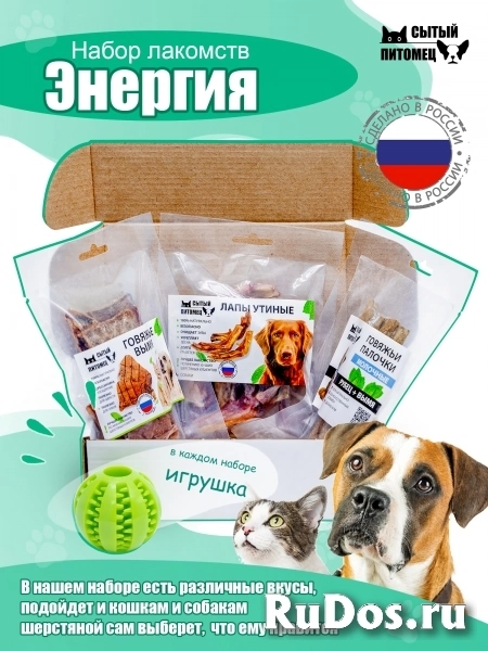 Лакомства для собак Энергия фото