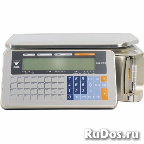 Весы с печатью этикетки DIGI SM-5100B (15kg) фото