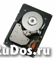 Жесткий диск IBM 600 GB 49Y1866 фото
