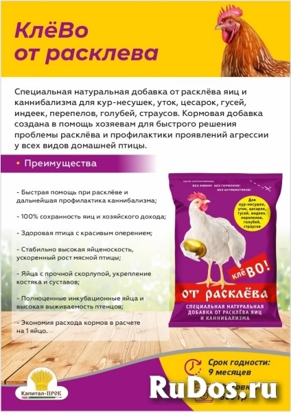 Кормовой премикс для с/х птицы - П2 КлёВО от расклёва. Кормовой премикс для с/х птицы - П2 КлёВО от расклёва. фото