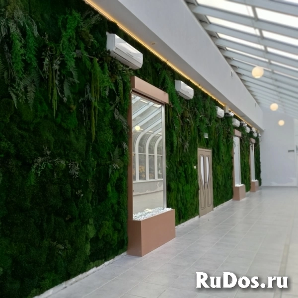 Искусственное озеленение и фитостены фото