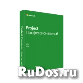 Microsoft Project профессиональный 2019 (H30-05756) фото