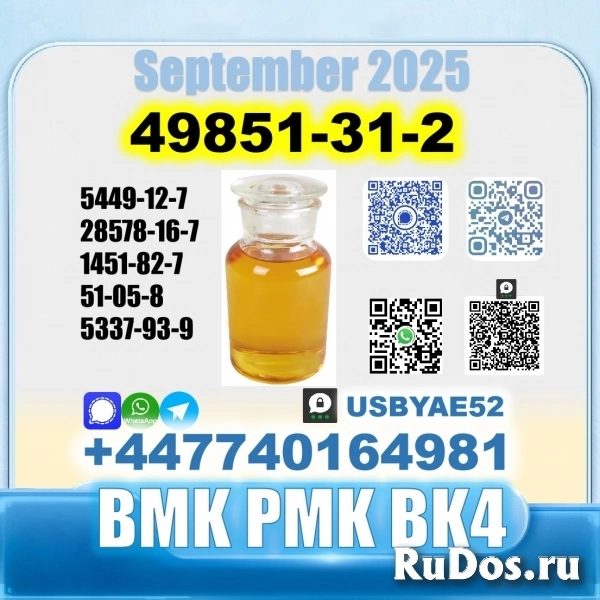 49851-31-2 bvf bmk pmk bk4 2b4m premium factory safe delivery в Красноборске 49851-31-2 bvf bmk pmk bk4 2b4m premium factory safe delivery изображение 3
