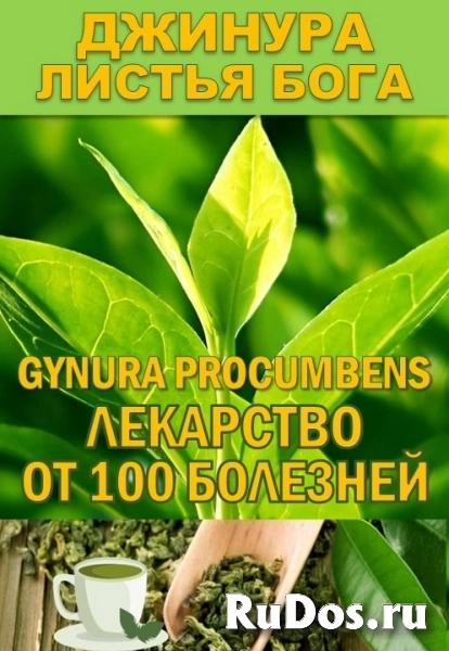 Гидролаты и функциональные купажи ProGynuru — сила тропических растений для здоровья и красоты. изображение 6