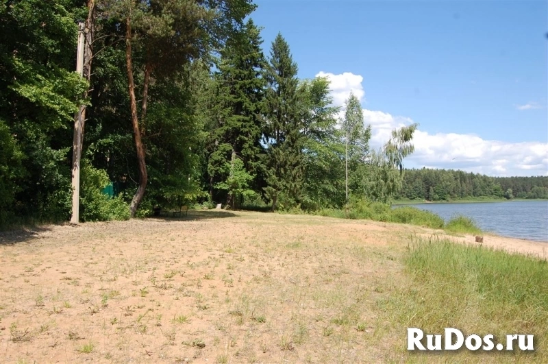 Продам коммерческую недвижимость 1069 сот фото