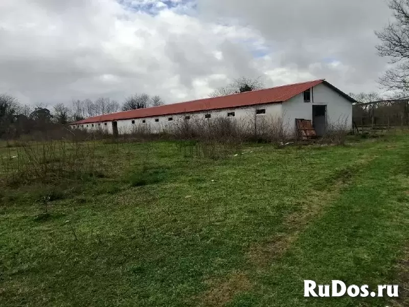Продается готовый бизнес в Абхазии фотка